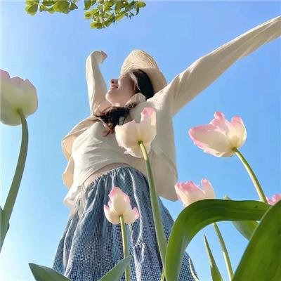 楊八妹招親粤语
